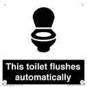 this-toilet-flushes-automatically~